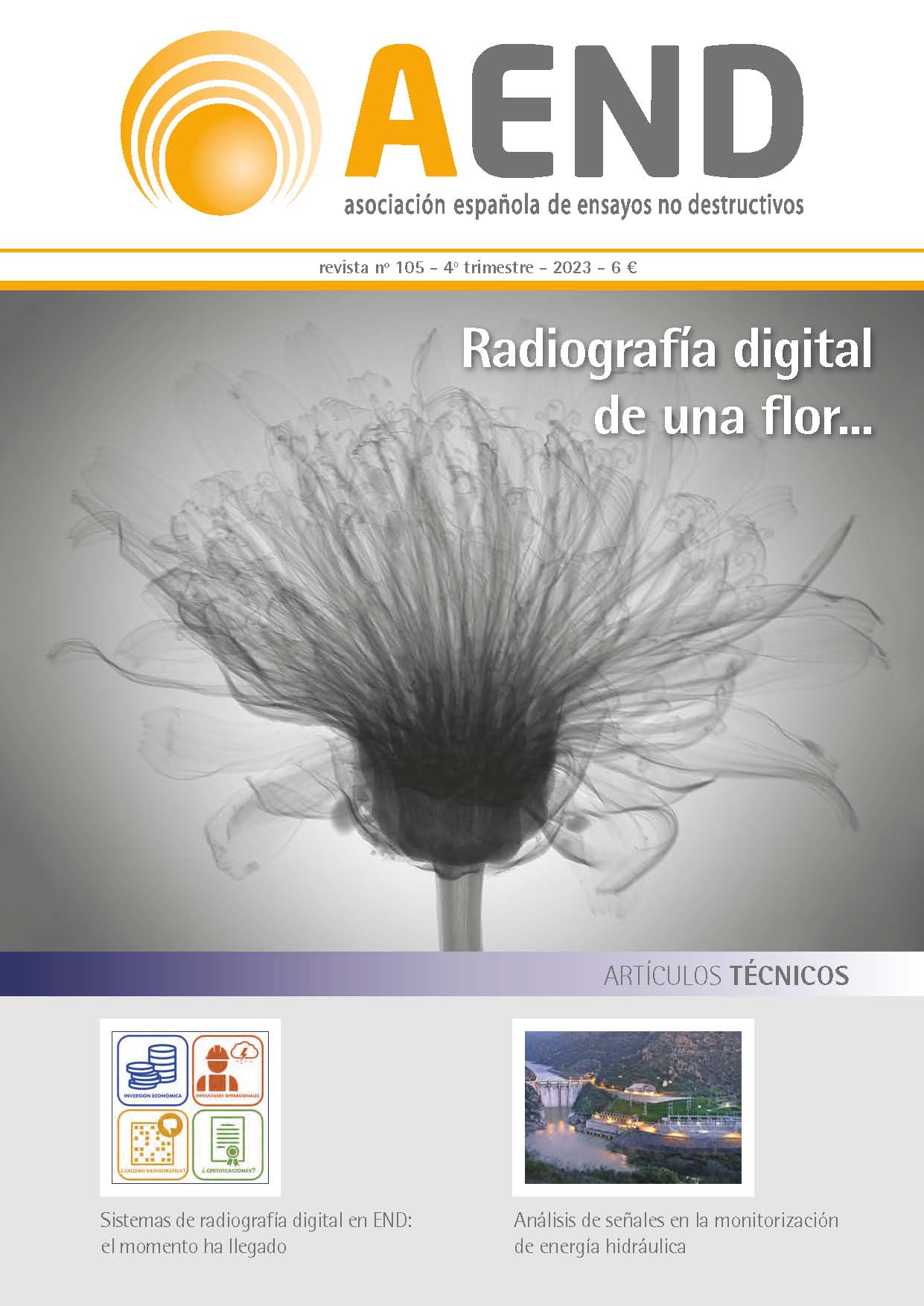 Revista nº 105